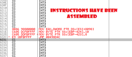 OllyDbg Assembled Instructions